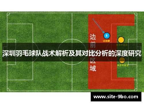 深圳羽毛球队战术解析及其对比分析的深度研究