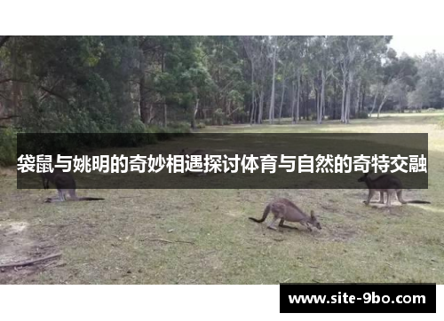 袋鼠与姚明的奇妙相遇探讨体育与自然的奇特交融