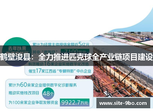 鹤壁浚县：全力推进匹克球全产业链项目建设