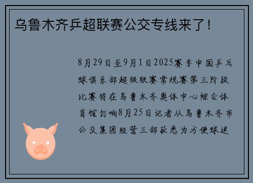 乌鲁木齐乒超联赛公交专线来了！